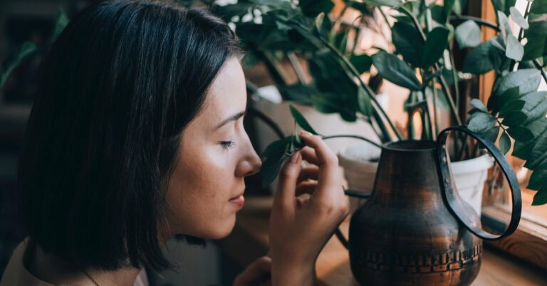 4 Uses of Plants to Elevate Your Energy